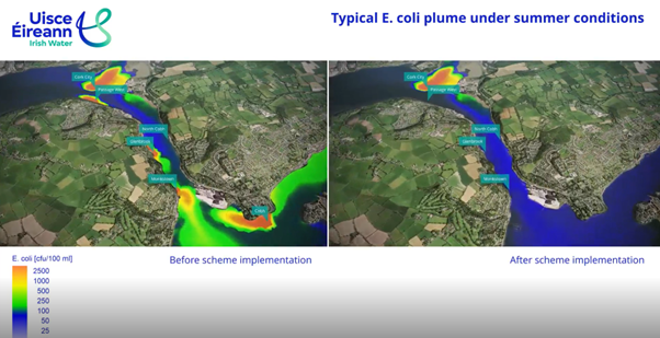 Model Visualisation Cork Harbour